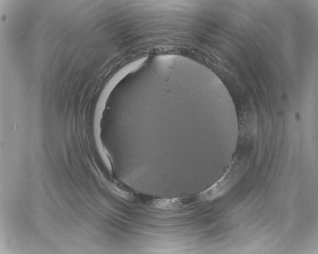 X0000061750136200512302247