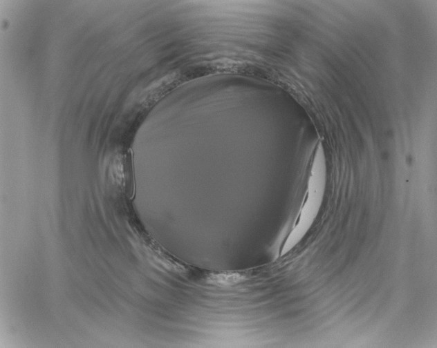 X0000061750137200512302247