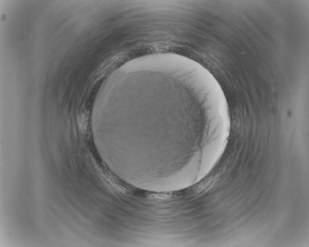 X0000061750139200512302247