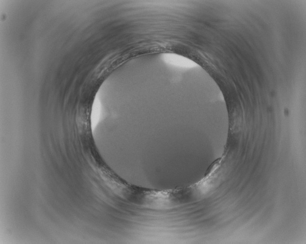 X0000061750140200512302247