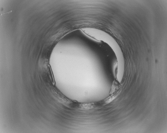 X0000061750141200512302247