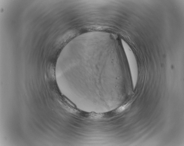 X0000061750143200512302247