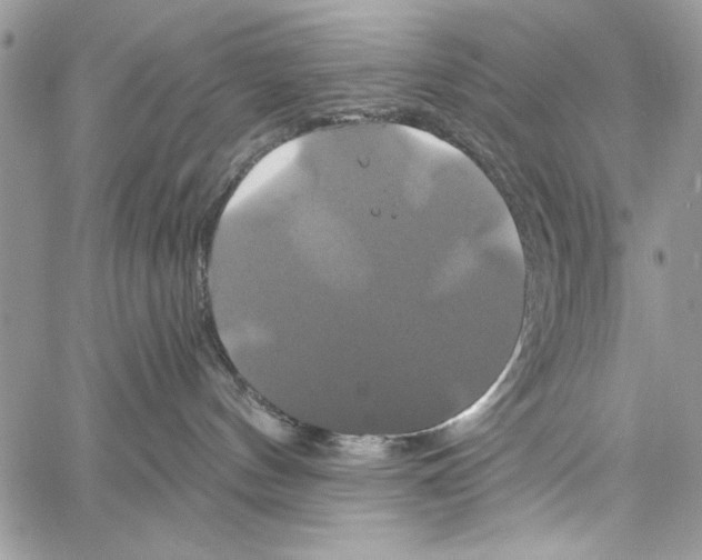 X0000061750144200512302247