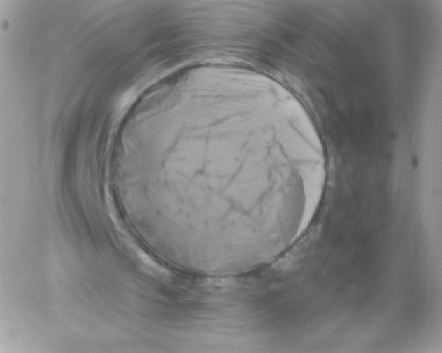 X0000061750145200512302246