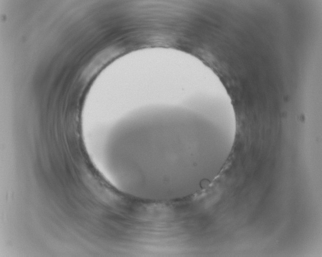 X0000061750146200512302246