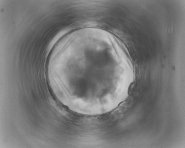 X0000061750147200512302246