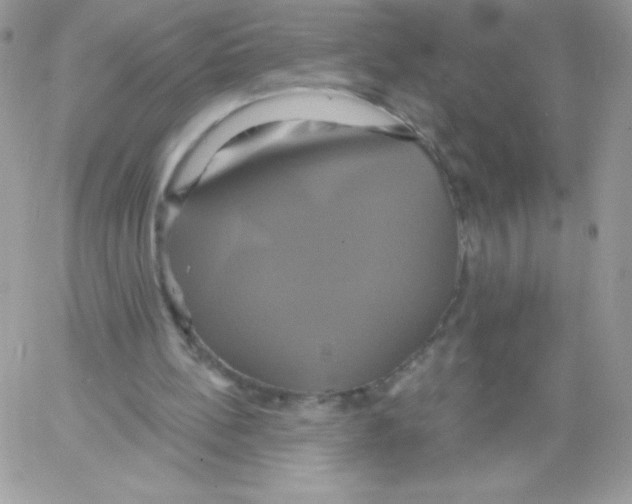 X0000061750148200512302246