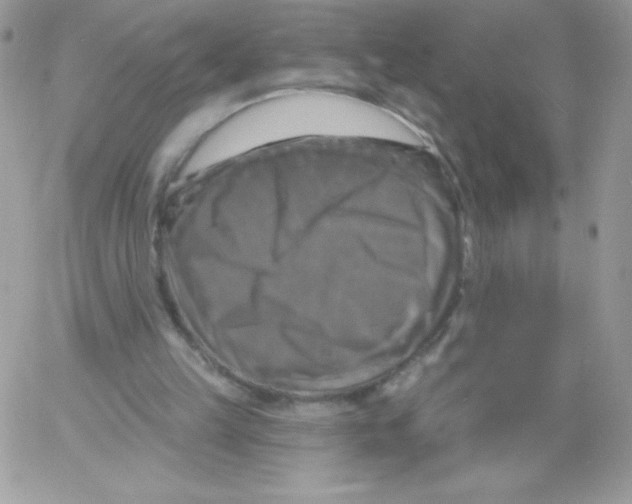 X0000061750149200512302246