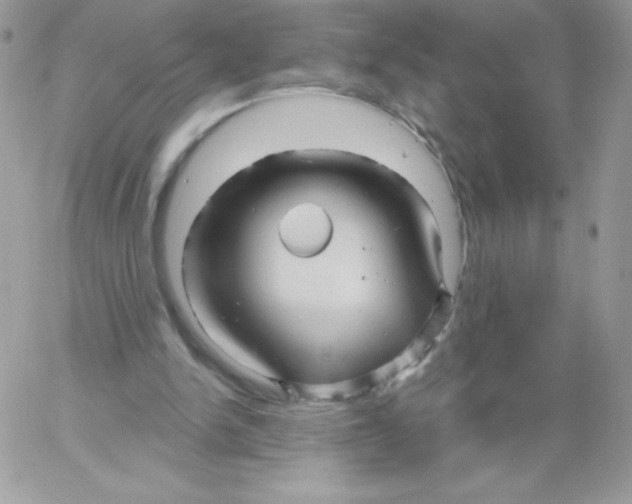 X0000061750150200512302246