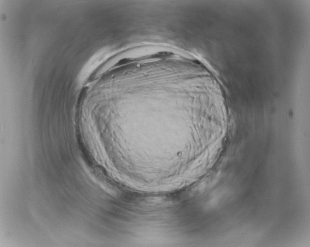 X0000061750151200512302246