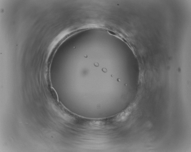 X0000061750152200512302246