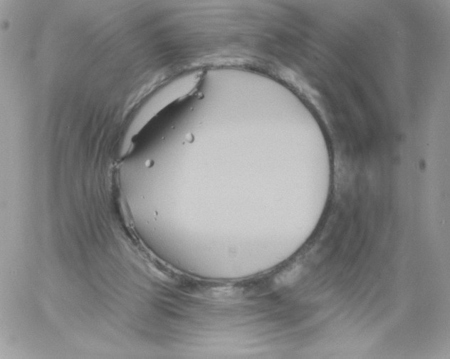 X0000061750153200512302246