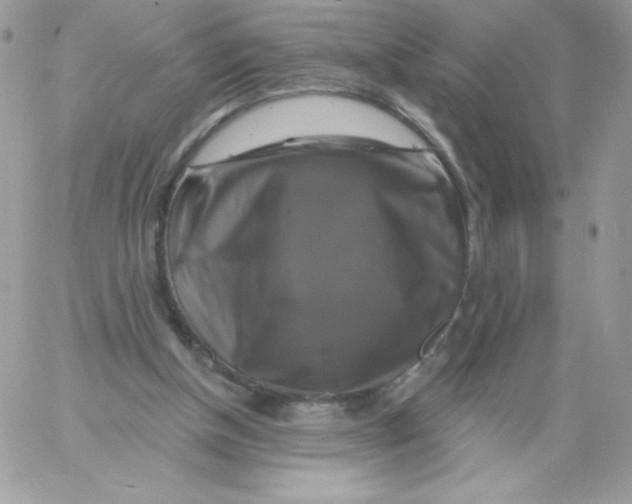 X0000061750154200512302247