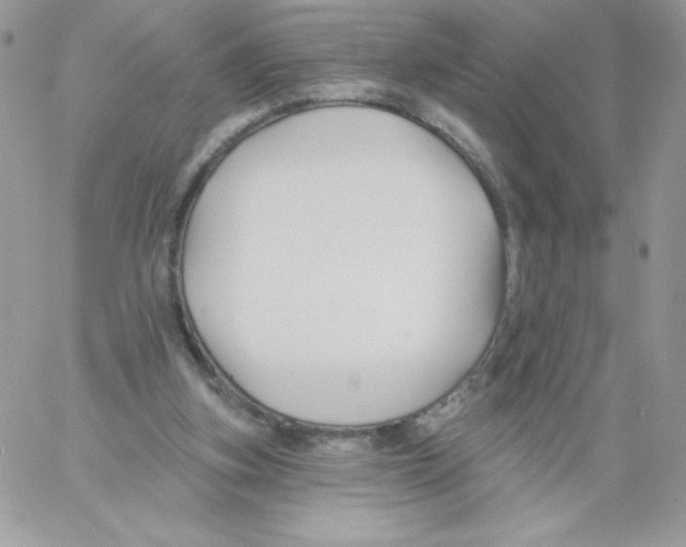 X0000061750155200512302247