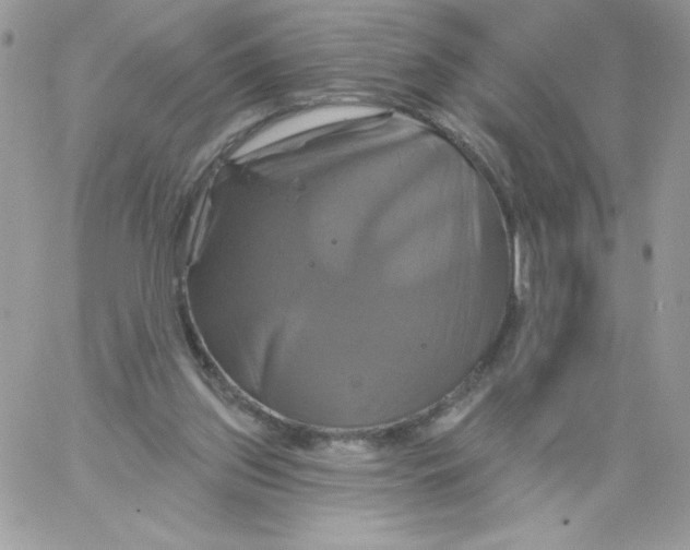 X0000061750157200512302247