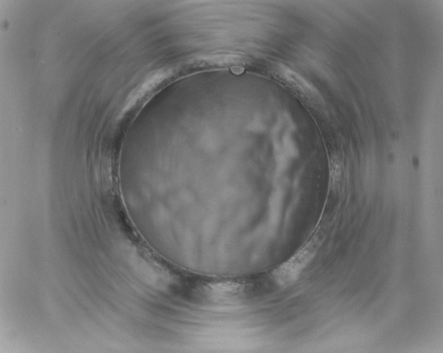 X0000061750158200512302247