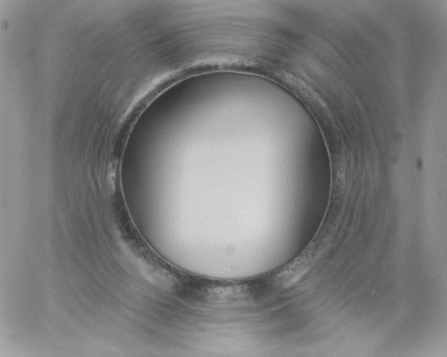 X0000061750160200512302247