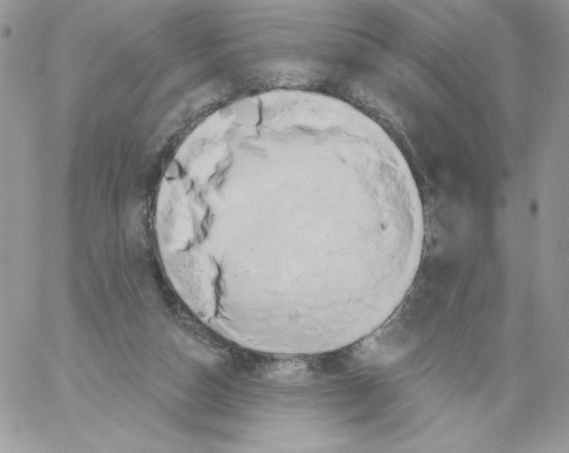 X0000061750162200512302247