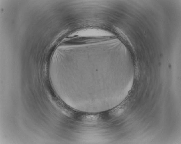 X0000061750163200512302247