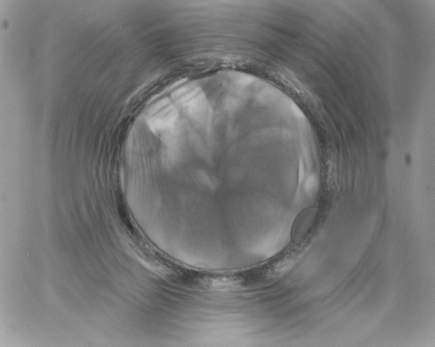 X0000061750165200512302247