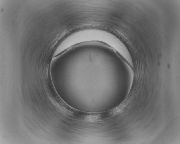 X0000061750168200512302247