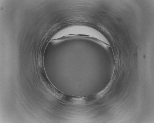 X0000061750170200512302247