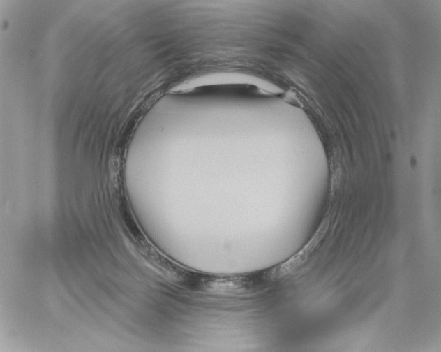 X0000061750171200512302247