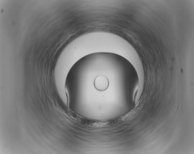 X0000061750172200512302247