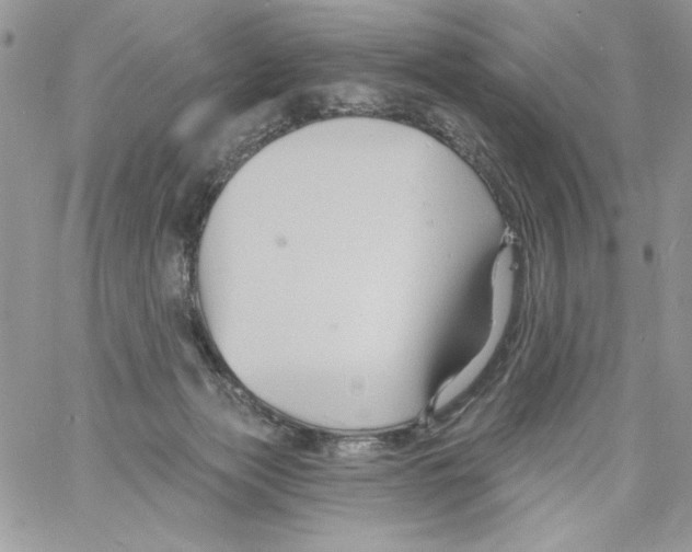 X0000061750173200512302247