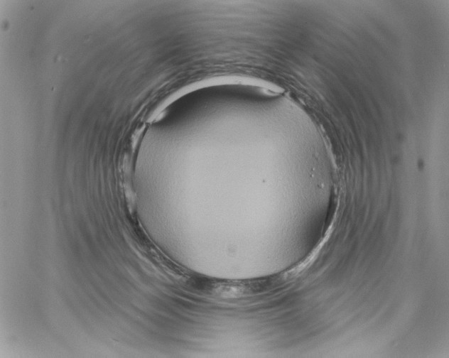 X0000061750174200512302247