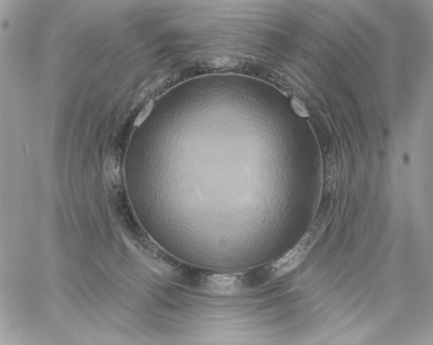 X0000061750176200512302247