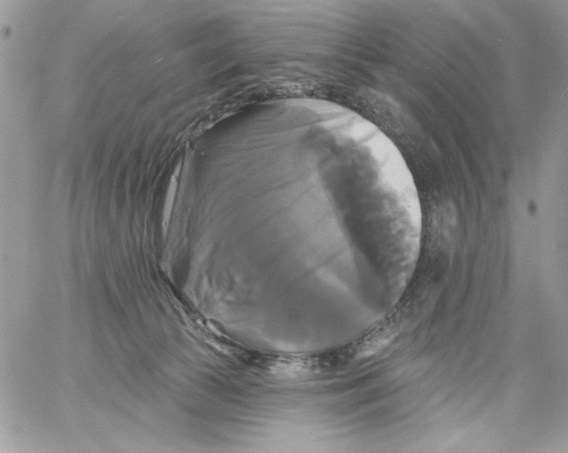 X0000061750177200512302247