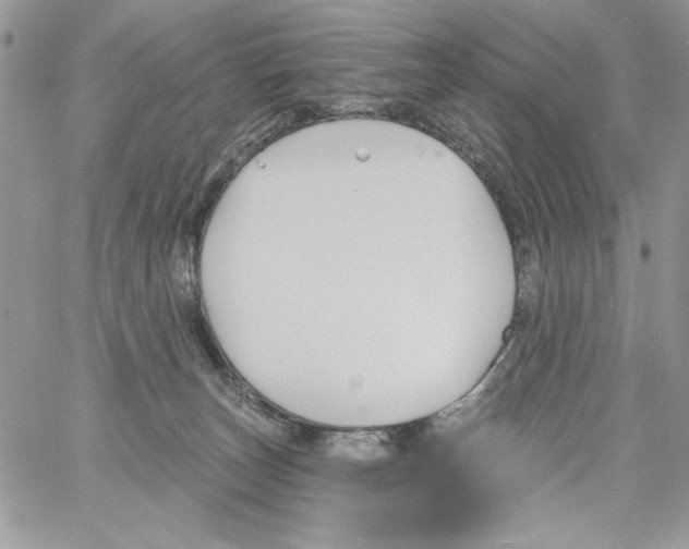 X0000061750179200512302247