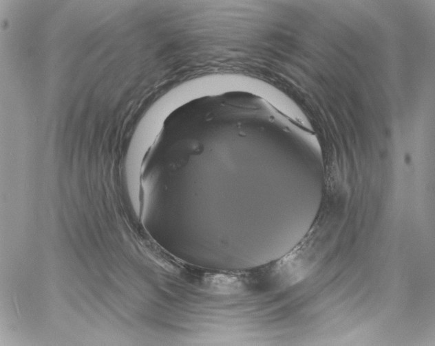 X0000061750180200512302247