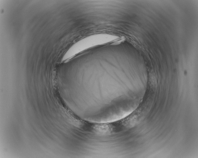 X0000061750181200512302247