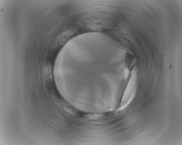 X0000061750182200512302247