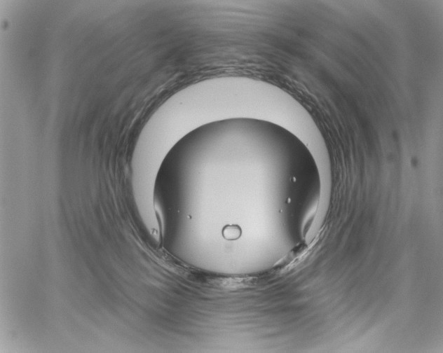 X0000061750184200512302247