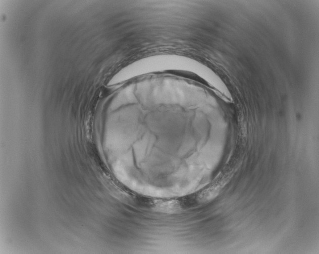 X0000061750185200512302247