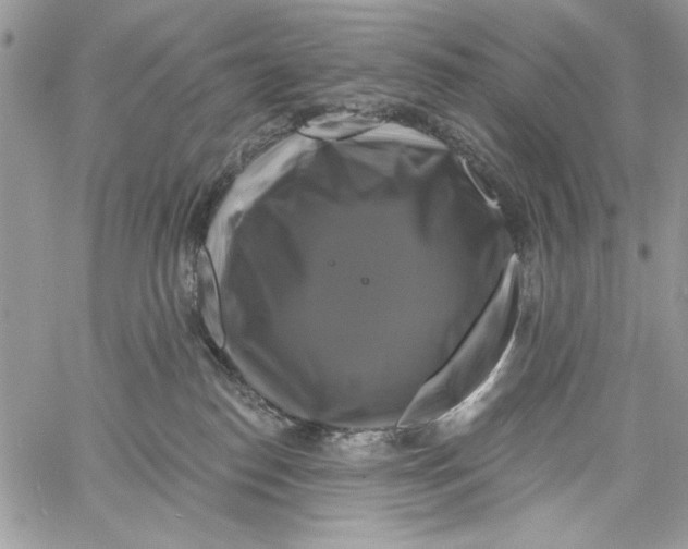 X0000061750186200512302247