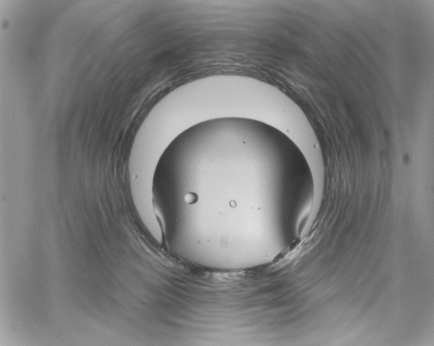 X0000061750188200512302247