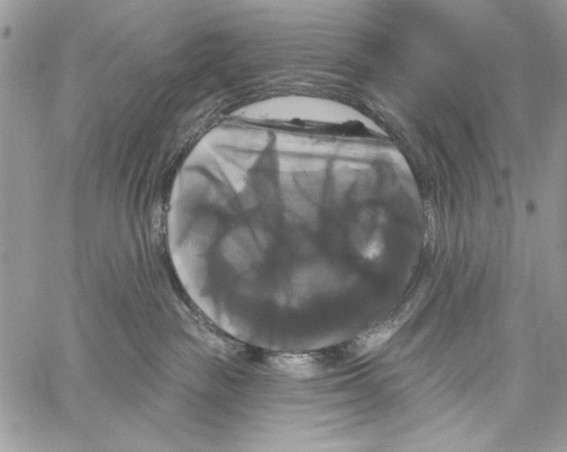 X0000061750189200512302247