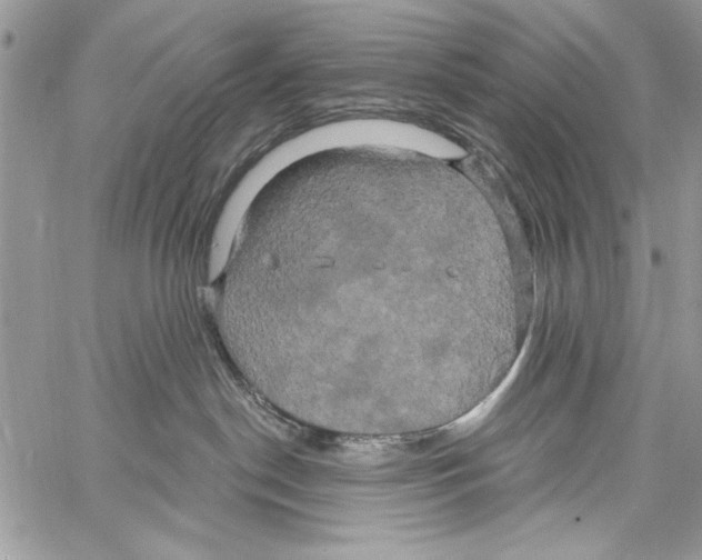 X0000061750190200512302247