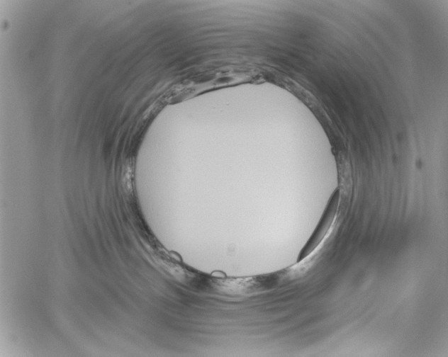 X0000061750191200512302247