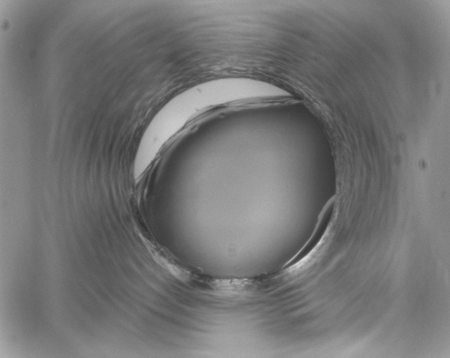 X0000061750192200512302247