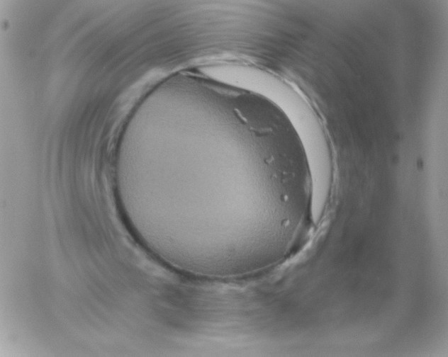 X0000061750193200512302246