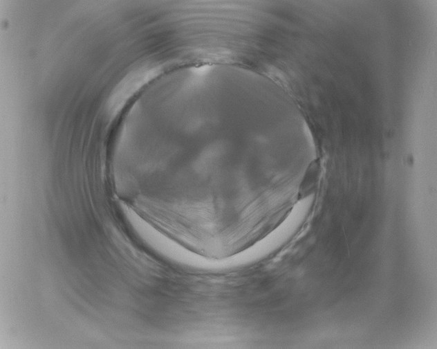 X0000061750194200512302246