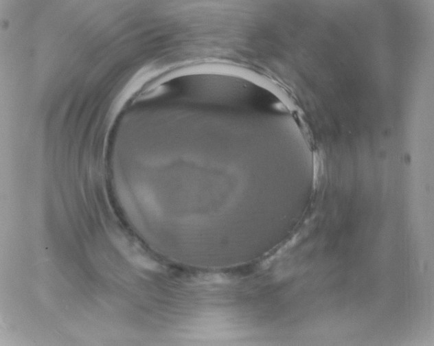 X0000061750195200512302246