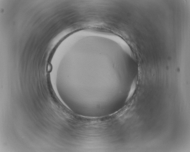 X0000061750196200512302246