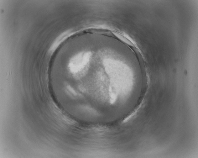 X0000061750199200512302246