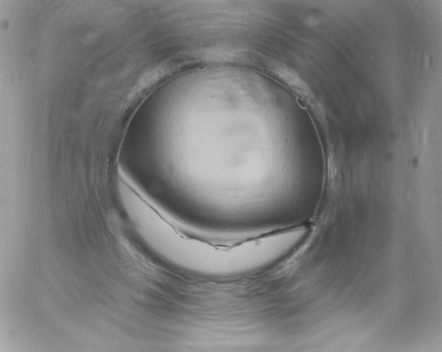 X0000061750201200512302246